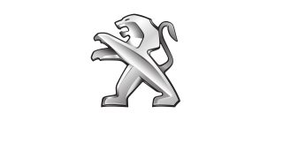 Roetfilter Vervangen Peugeot