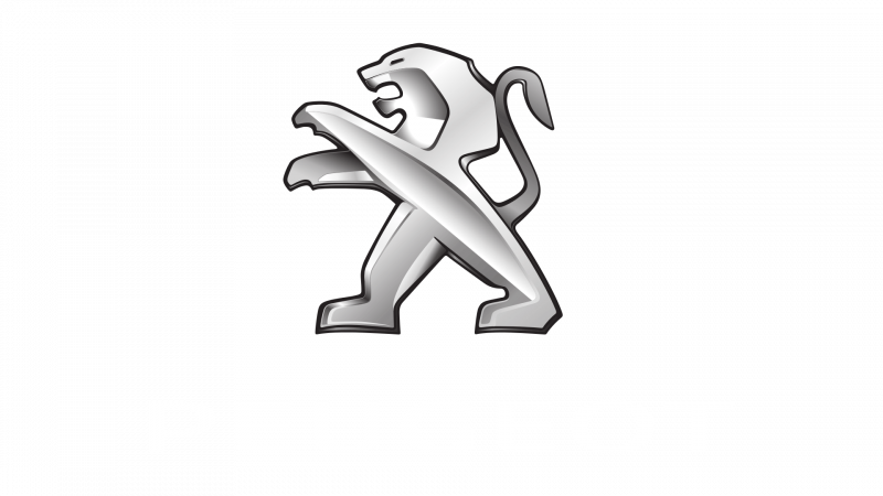 Roetfilter Vervangen Peugeot